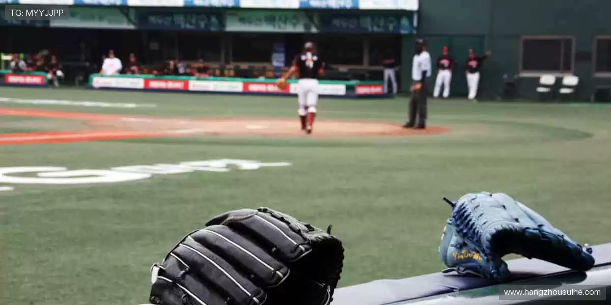 体育周边,冠军同款,你的专属装备库!🏆🎯